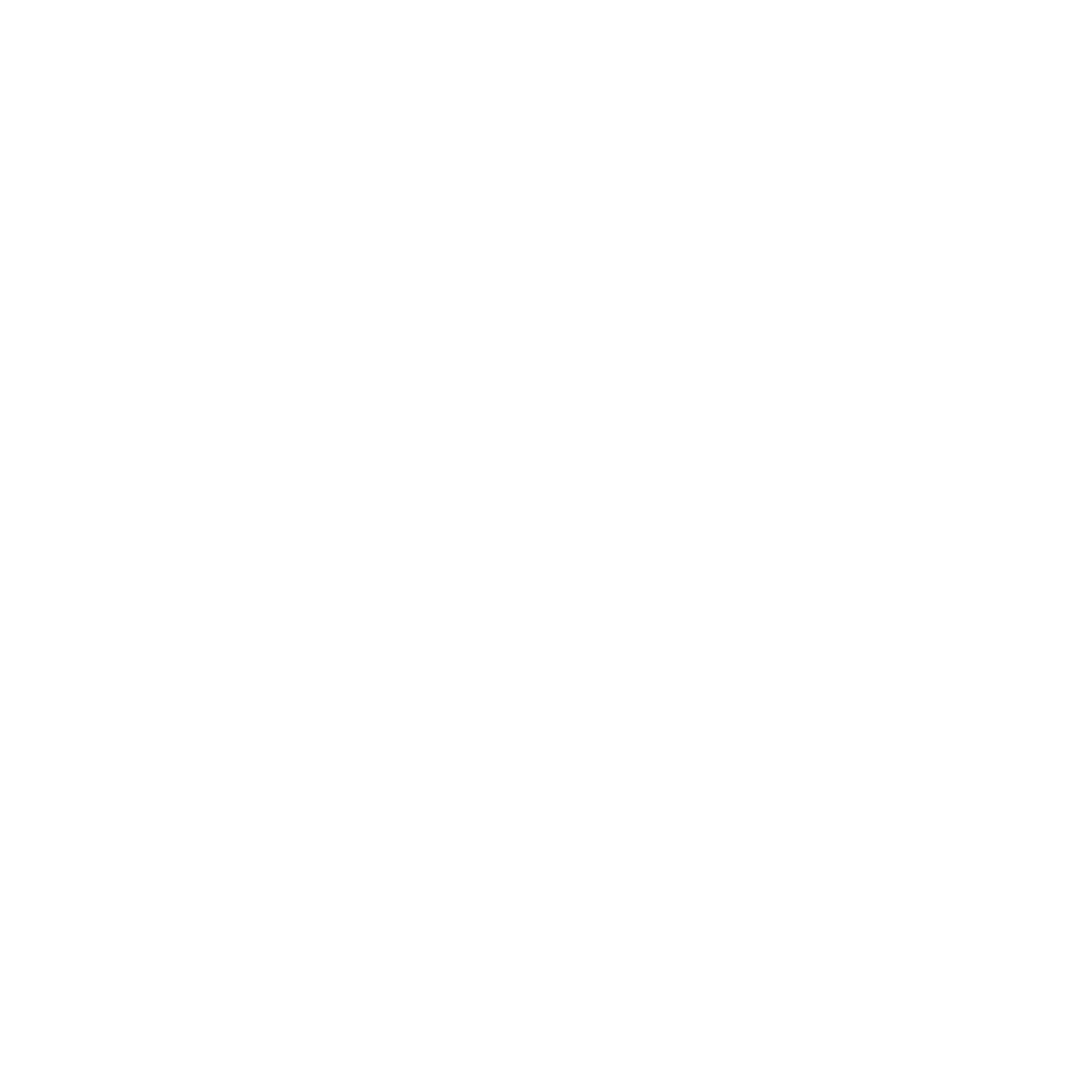 Logo nowww blanc