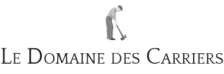 Logo domaine des carrier 3