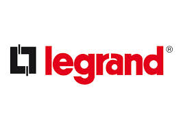 Leg