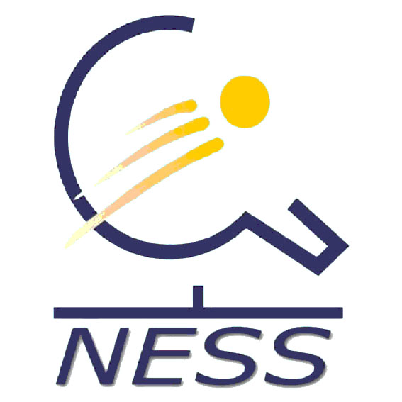 Logo ness