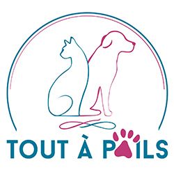 Logo toutapoils web