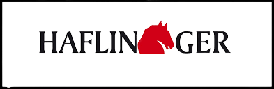 Haflinger removebg preview