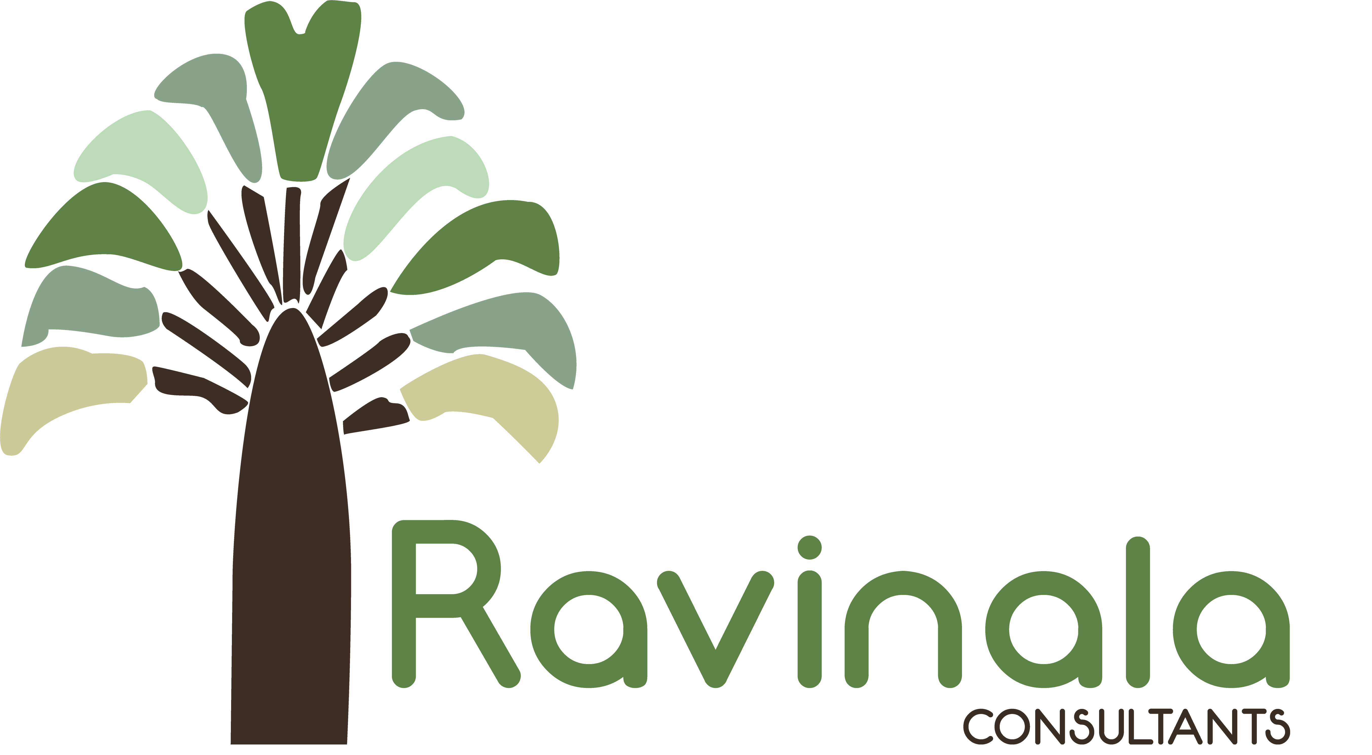 Logo Ravinala Consultants bilan de compétences