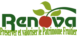 Renova