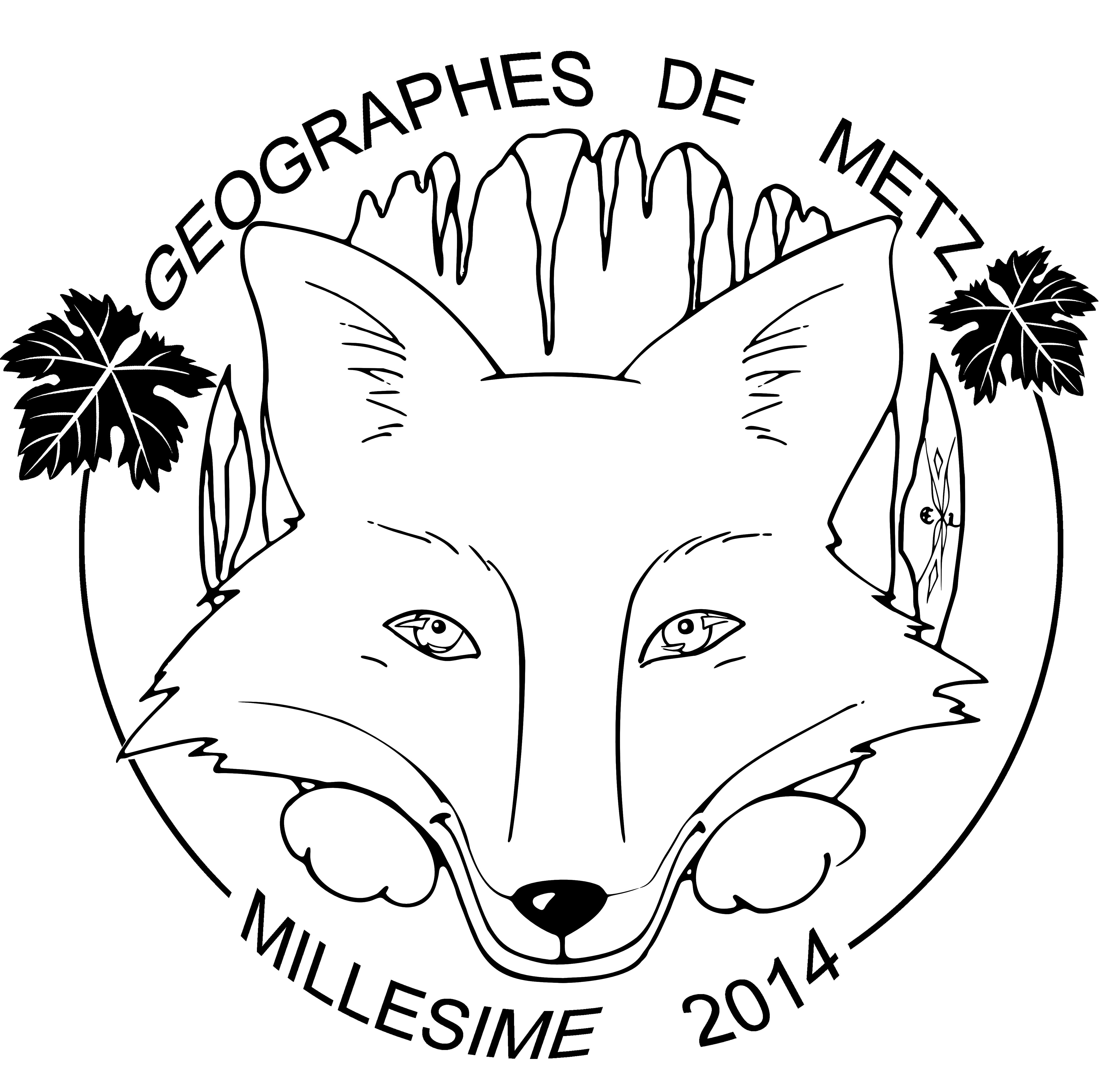 Renard geographe blanc 2