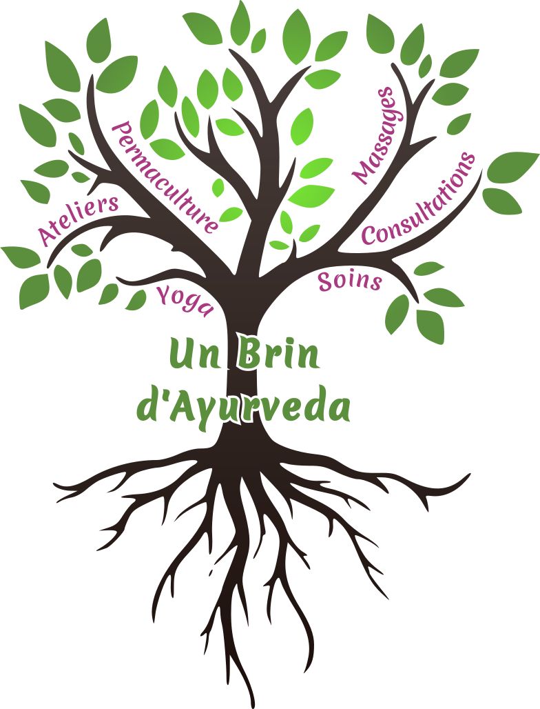 Arbre monia merienda one