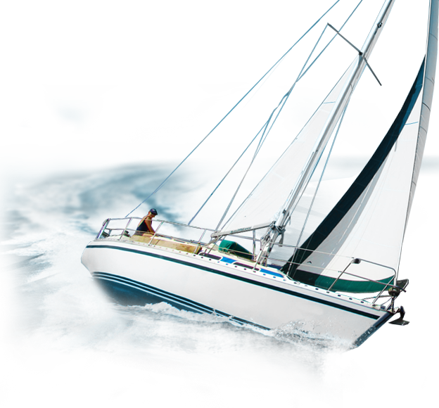 Pngegg-2024-02-26T154356-245