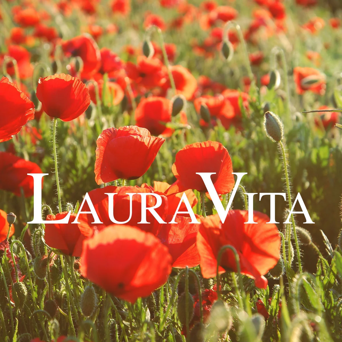 Laura vita