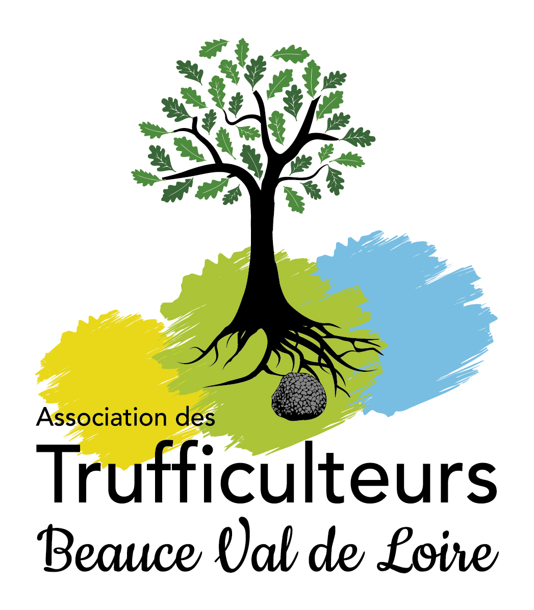 Logo tbvdl 72 dpi