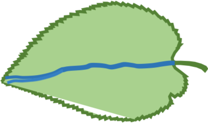 Logo-vert-clair