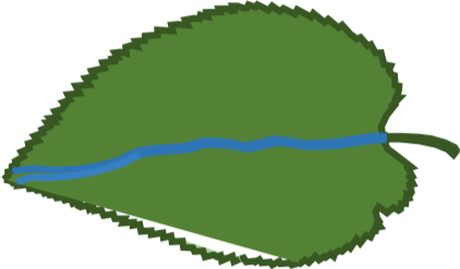 Logo-vert-fonce-