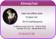 Atmosp hair