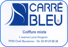 Carre Bleu