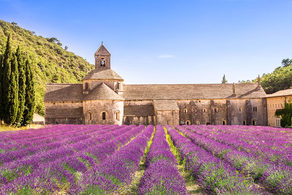 Abbaye senanque luberon