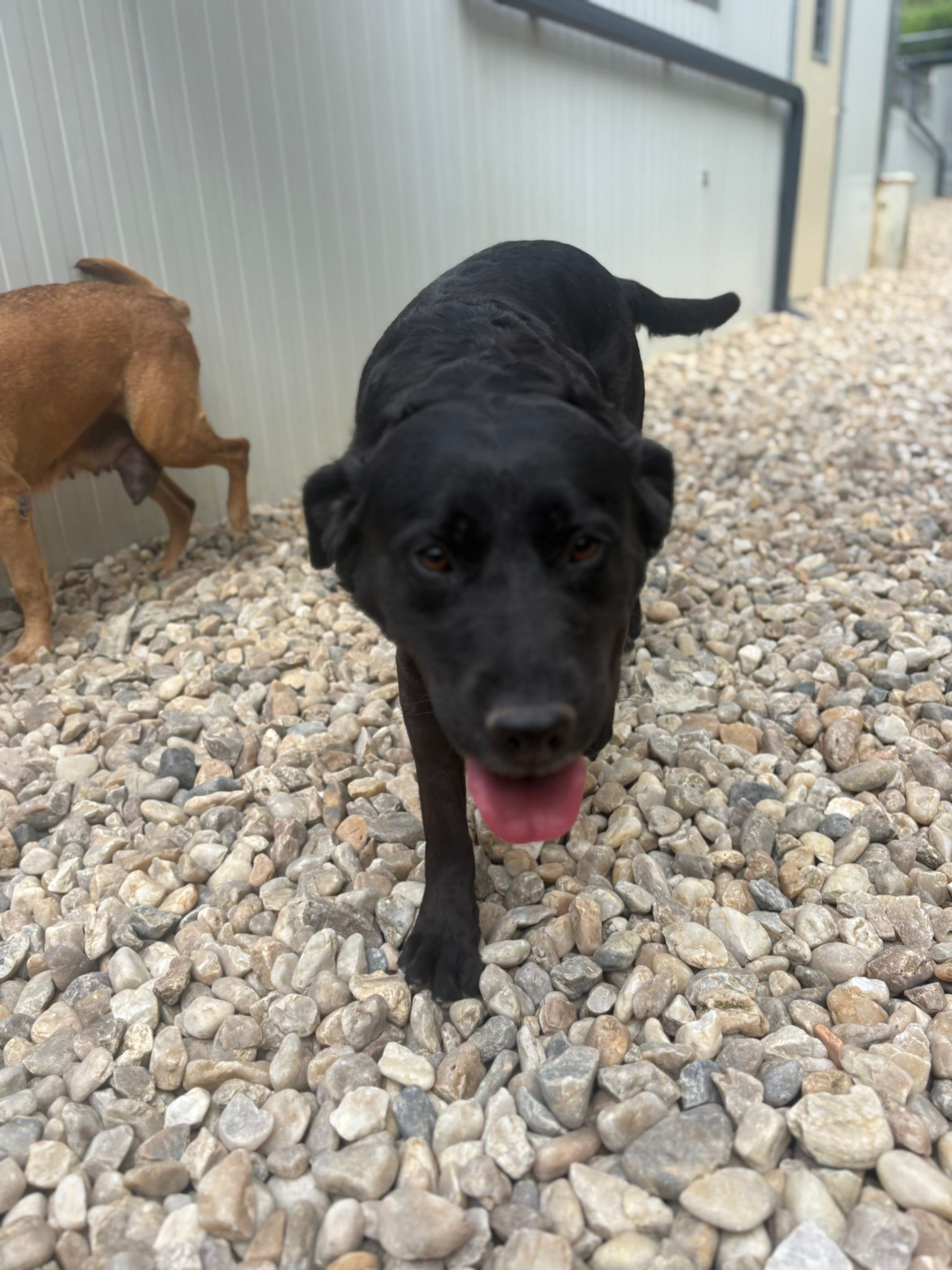 Whatsapp image 2025 05 07 at 03 44 26