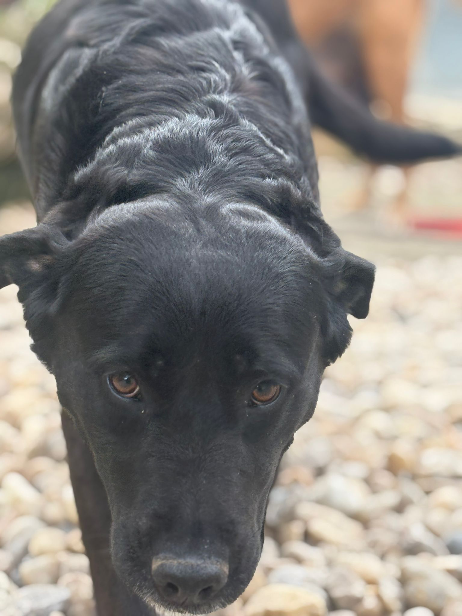 Whatsapp image 2025 05 07 at 03 44 25 5 