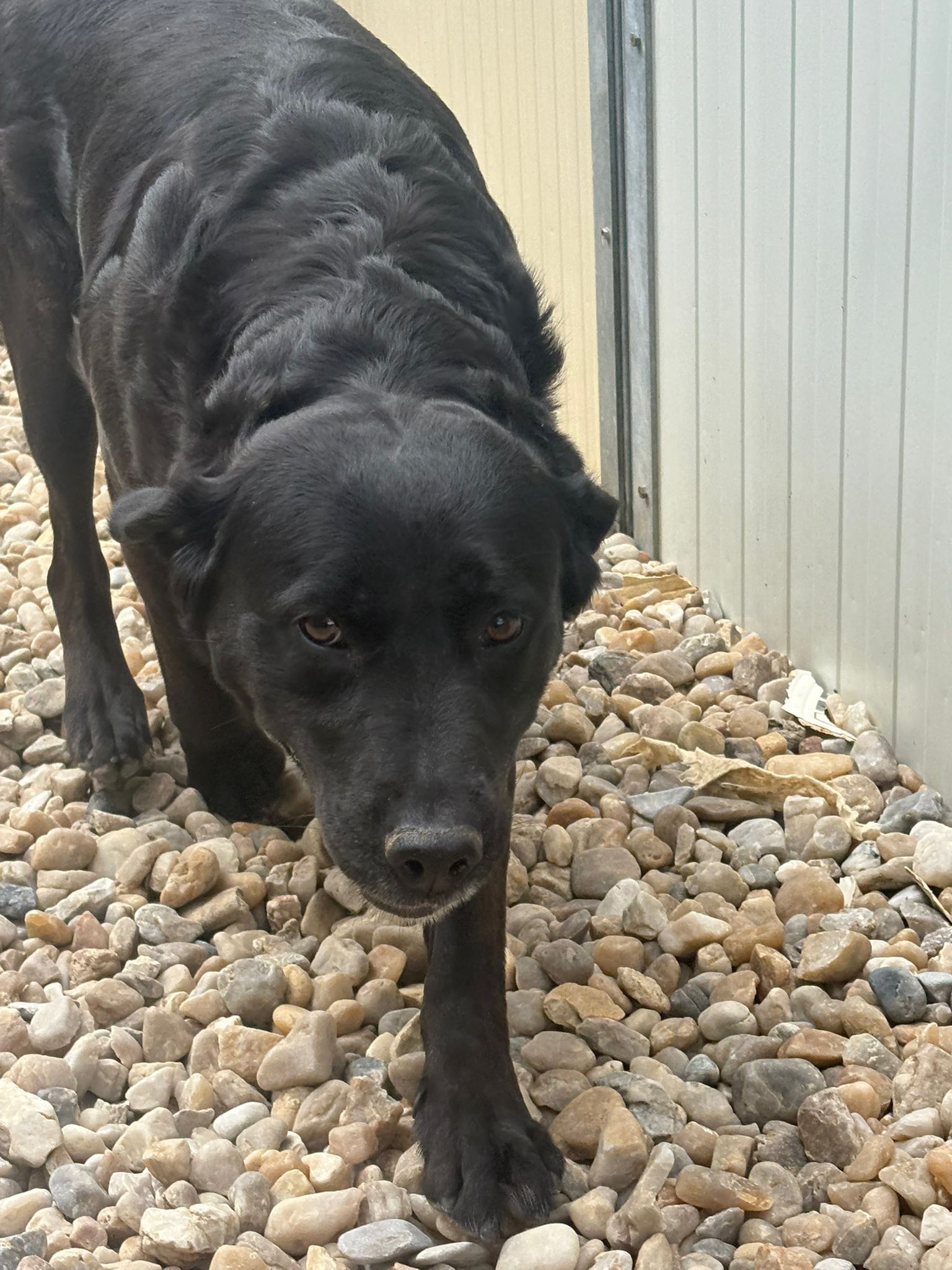 Whatsapp image 2025 05 07 at 03 44 25 3 