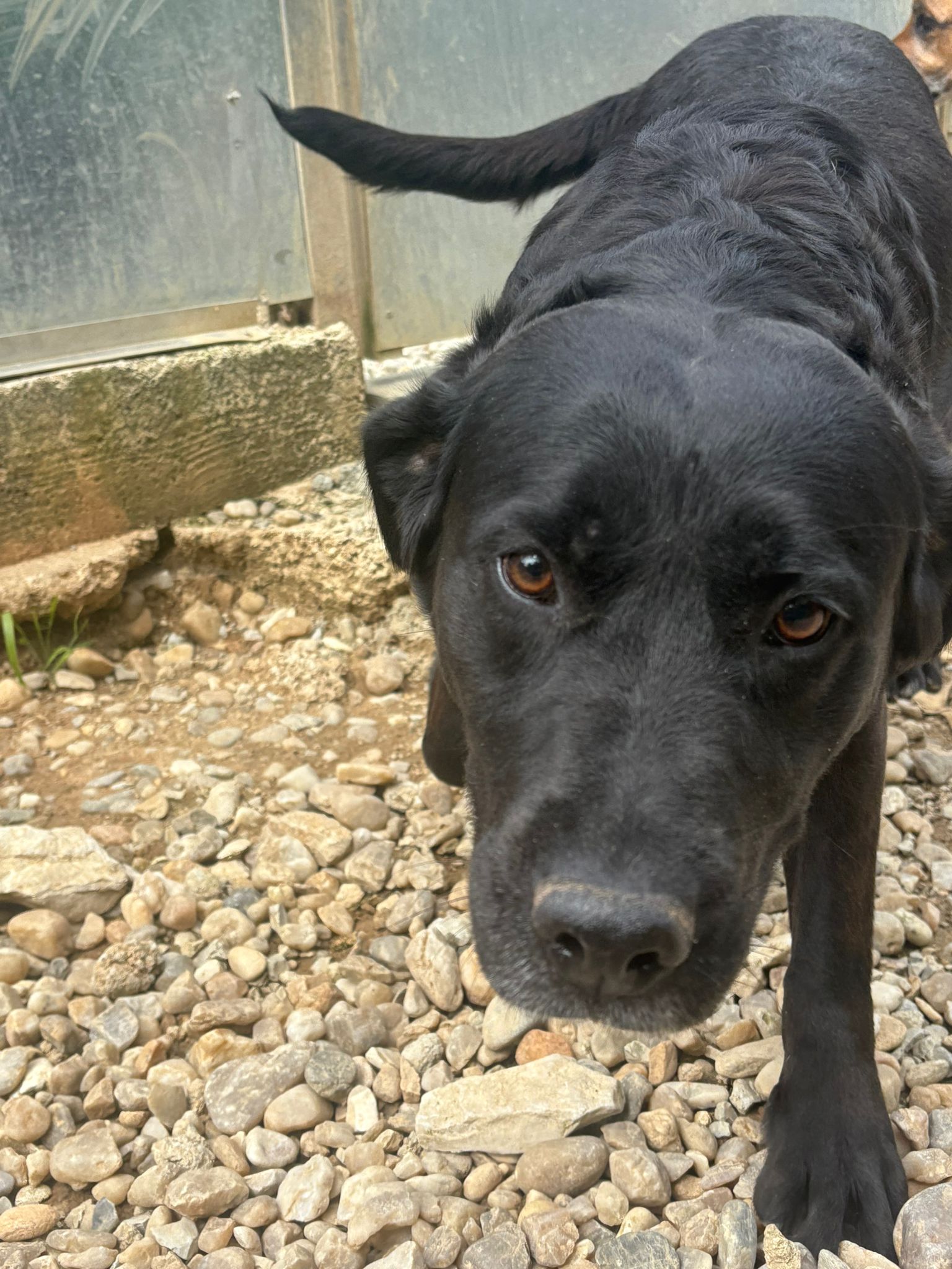 Whatsapp image 2025 05 07 at 03 44 25 2 