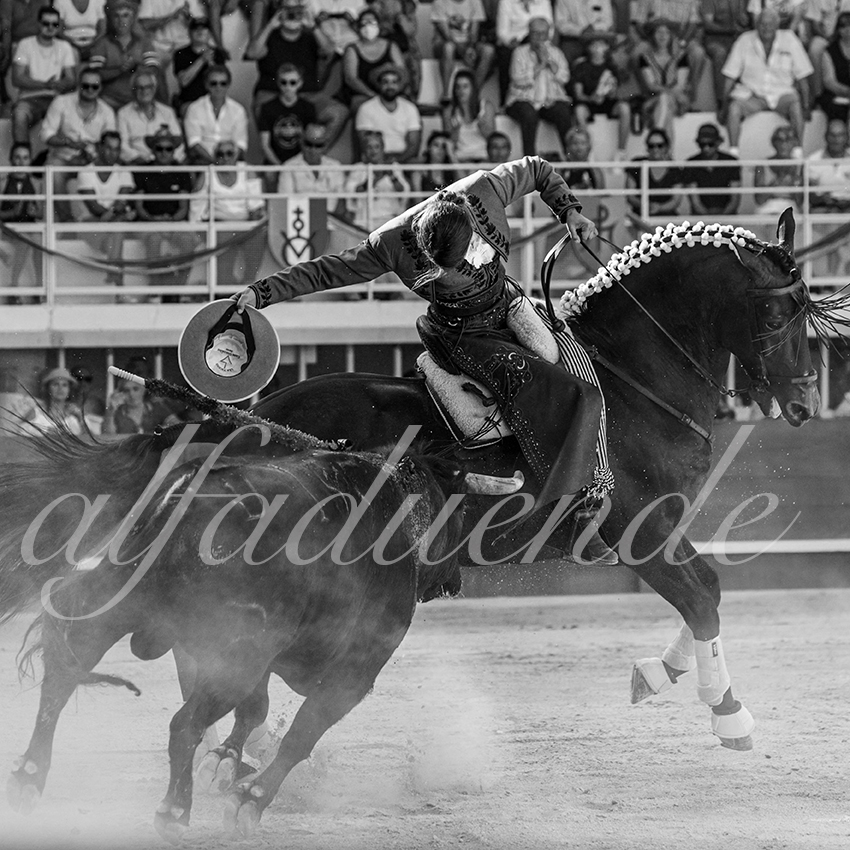 20210718 lunel alfaduende 0005