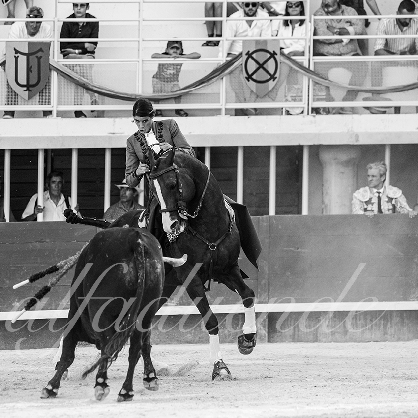 20210718 lunel alfaduende 0008