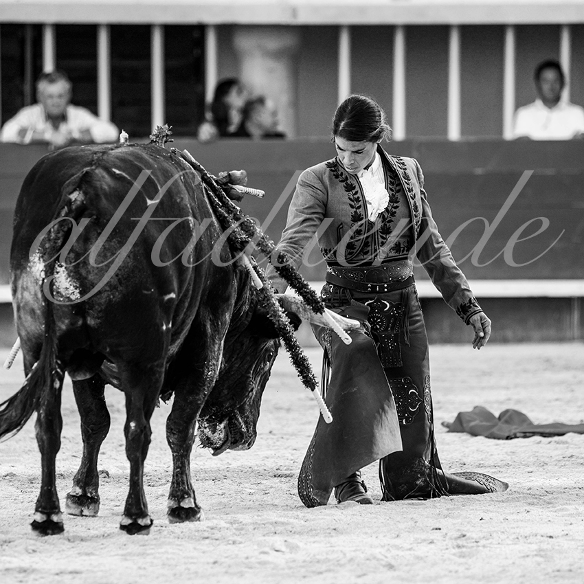 20210718 lunel alfaduende 0009