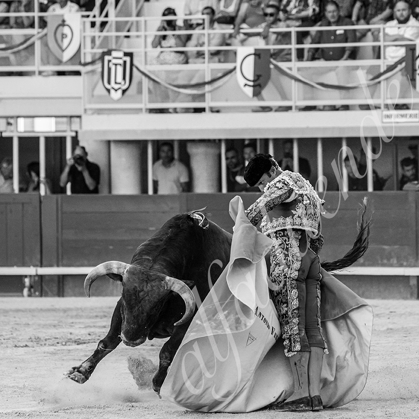 20210718 lunel alfaduende 0010