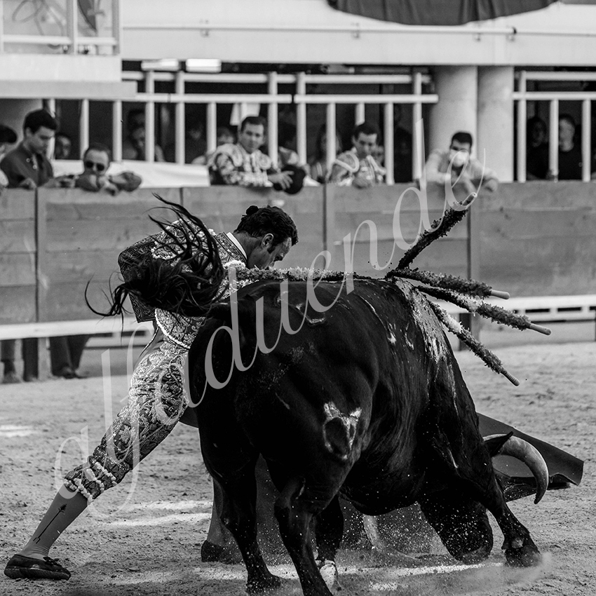 20210718 lunel alfaduende 0011