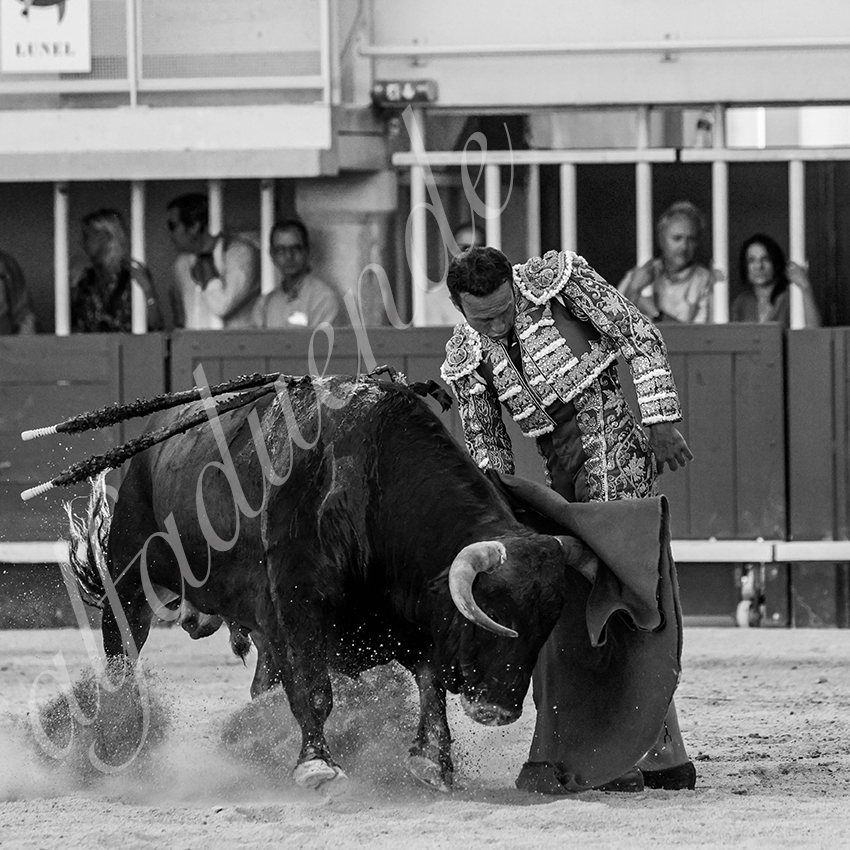 20210718 lunel alfaduende 0012