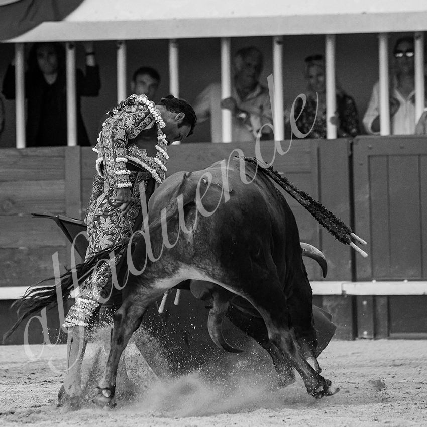 20210718 lunel alfaduende 0013