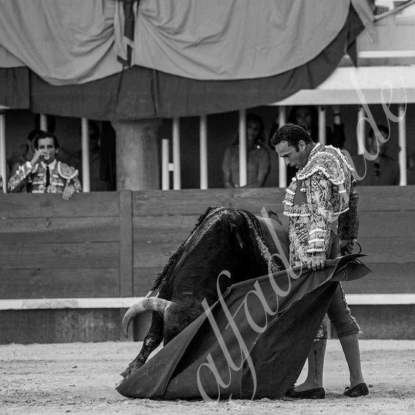 20210718 lunel alfaduende 0014