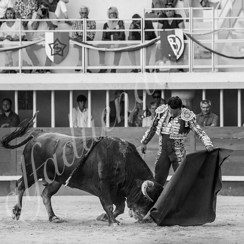 20210718 lunel alfaduende 0016