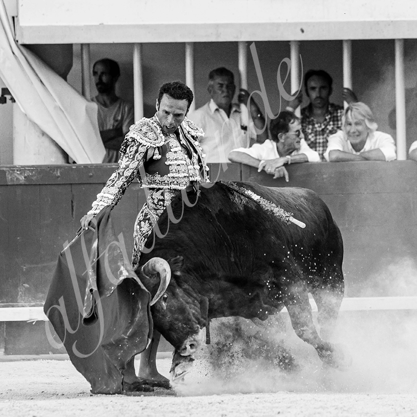 20210718 lunel alfaduende 0017