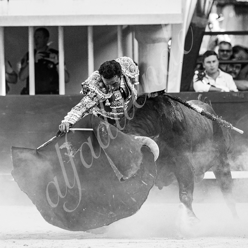 20210718 lunel alfaduende 0018