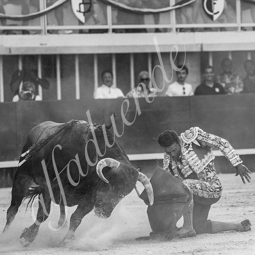 20210718 lunel alfaduende 0019