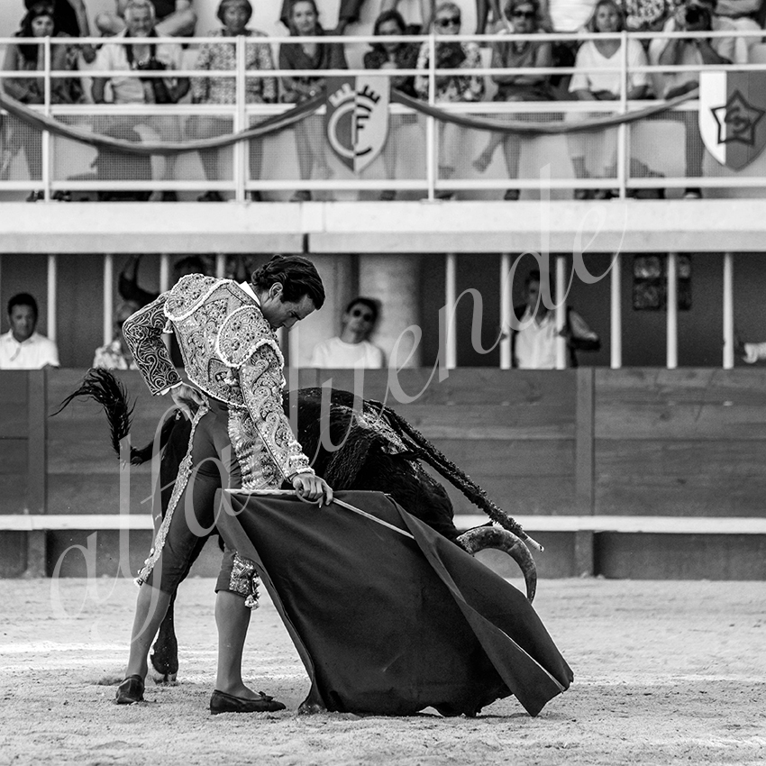 20210718 lunel alfaduende 0022