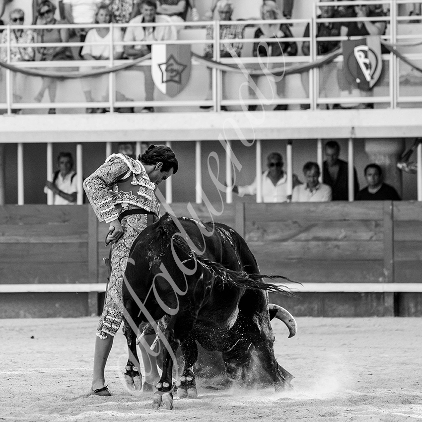 20210718 lunel alfaduende 0023