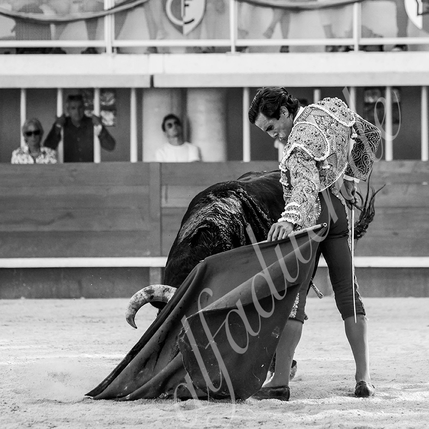 20210718 lunel alfaduende 0024