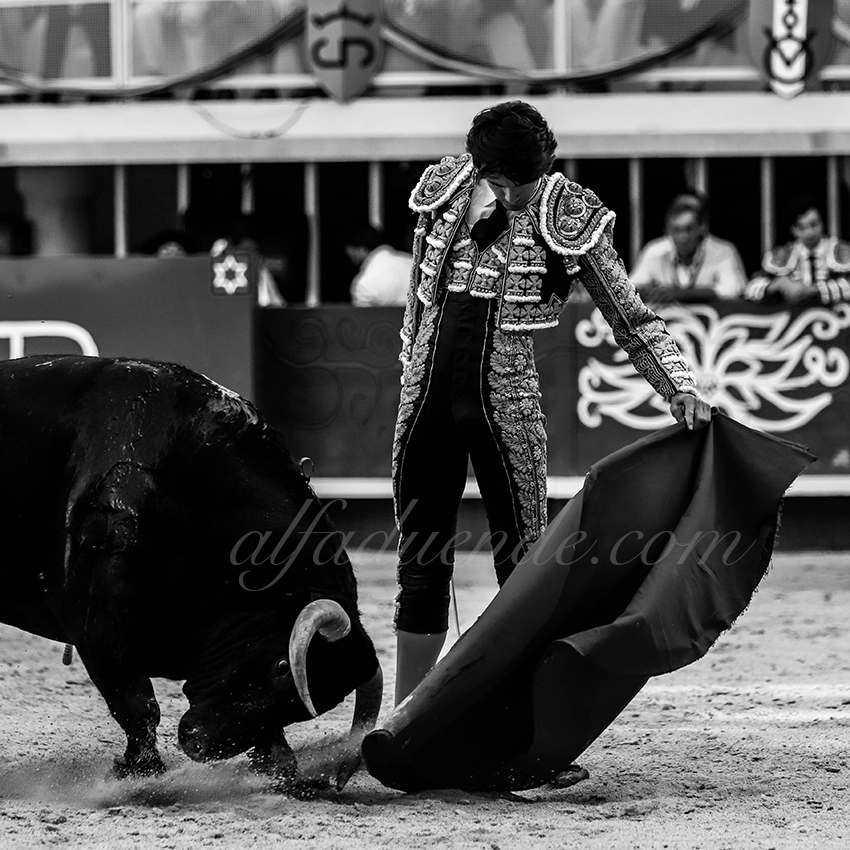 Lunes 20190721 08 copie