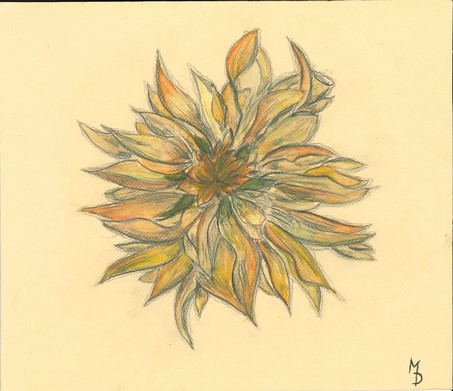 Maguy-Debuisson-1