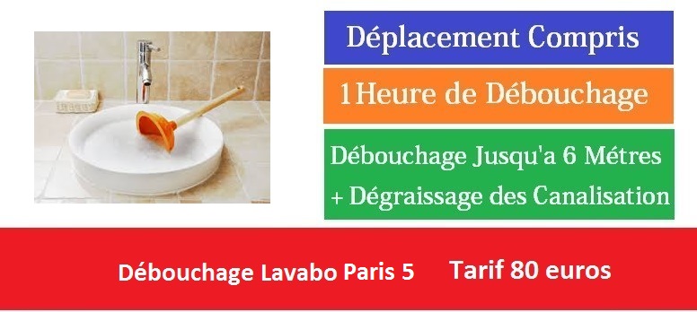débouchage  lavabo paris 5