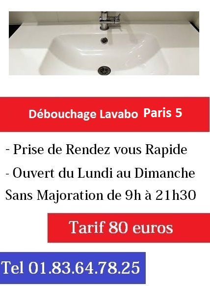 Debouchage lavabo pas cher paris 5
