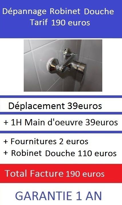 Depannage robinet douche Paris 5