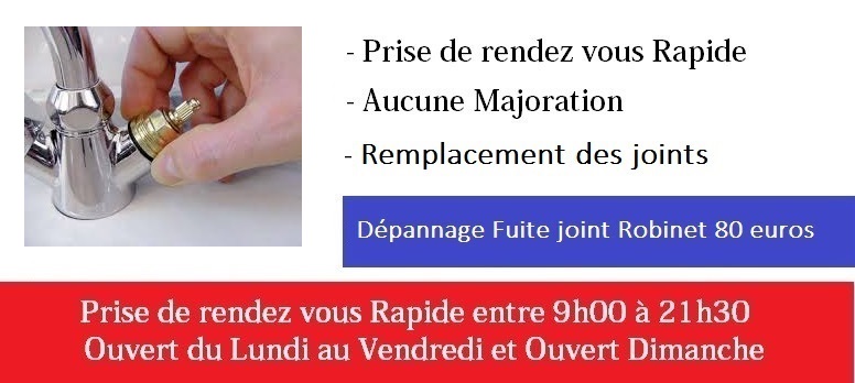 depannage robinet general paris 7