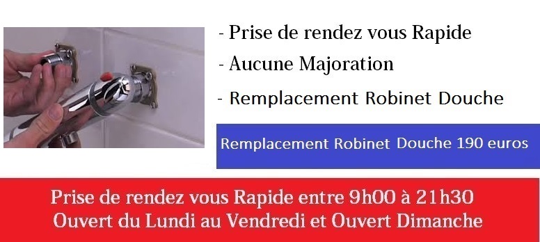 depannage robinet douche paris 7