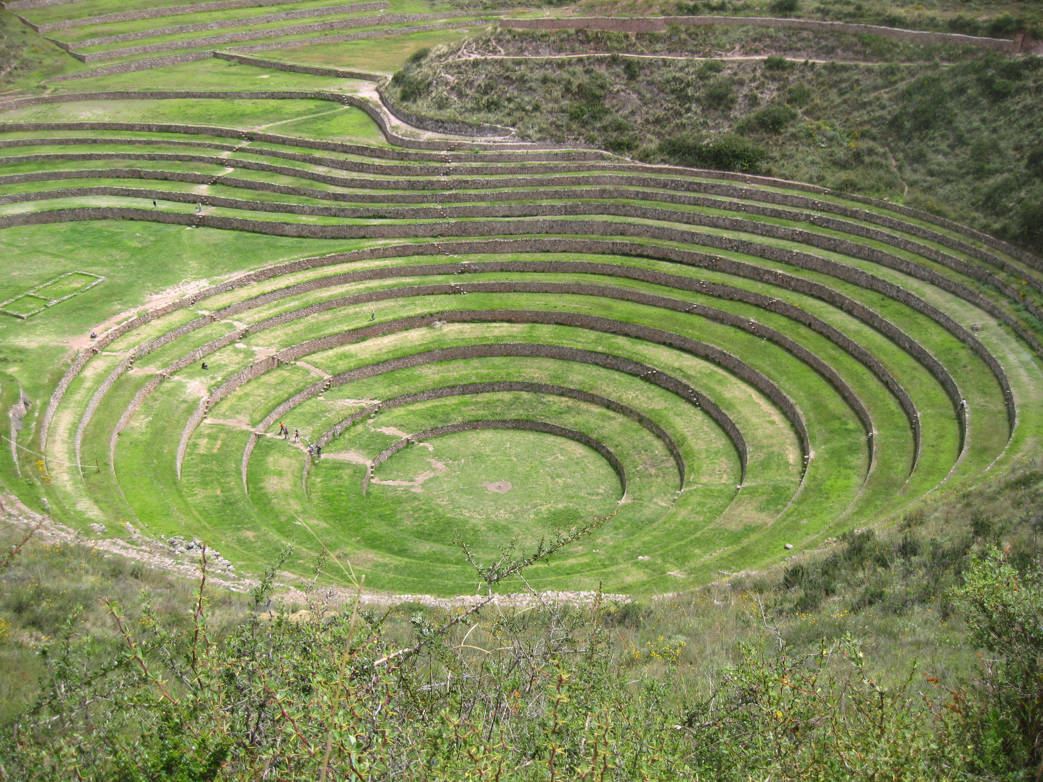 Img 0009