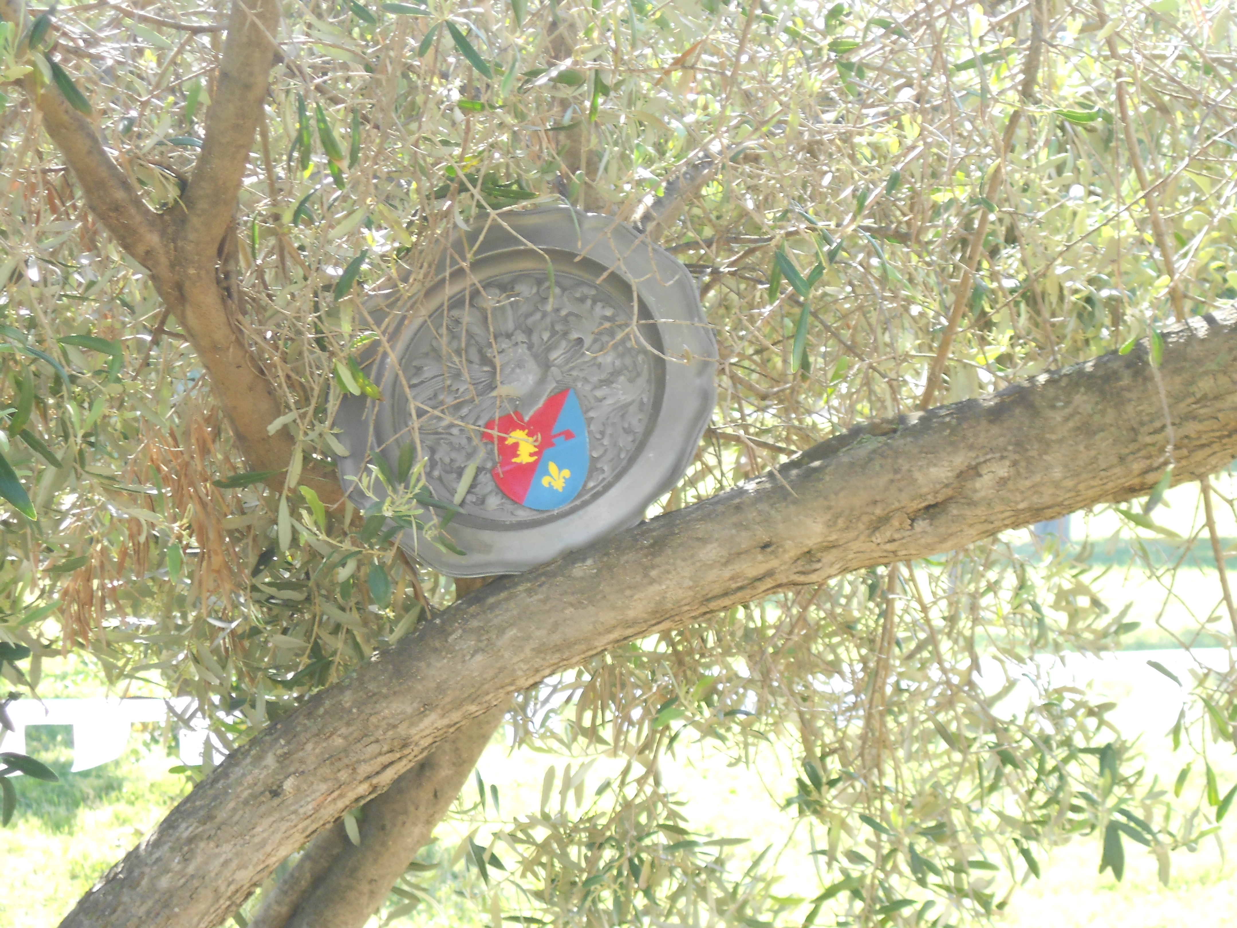 Dscn2199