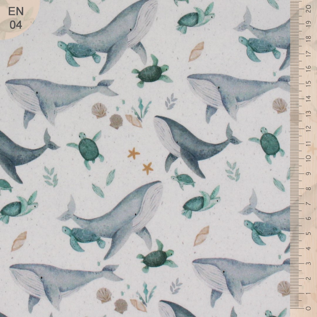 En04 baleines et tortues