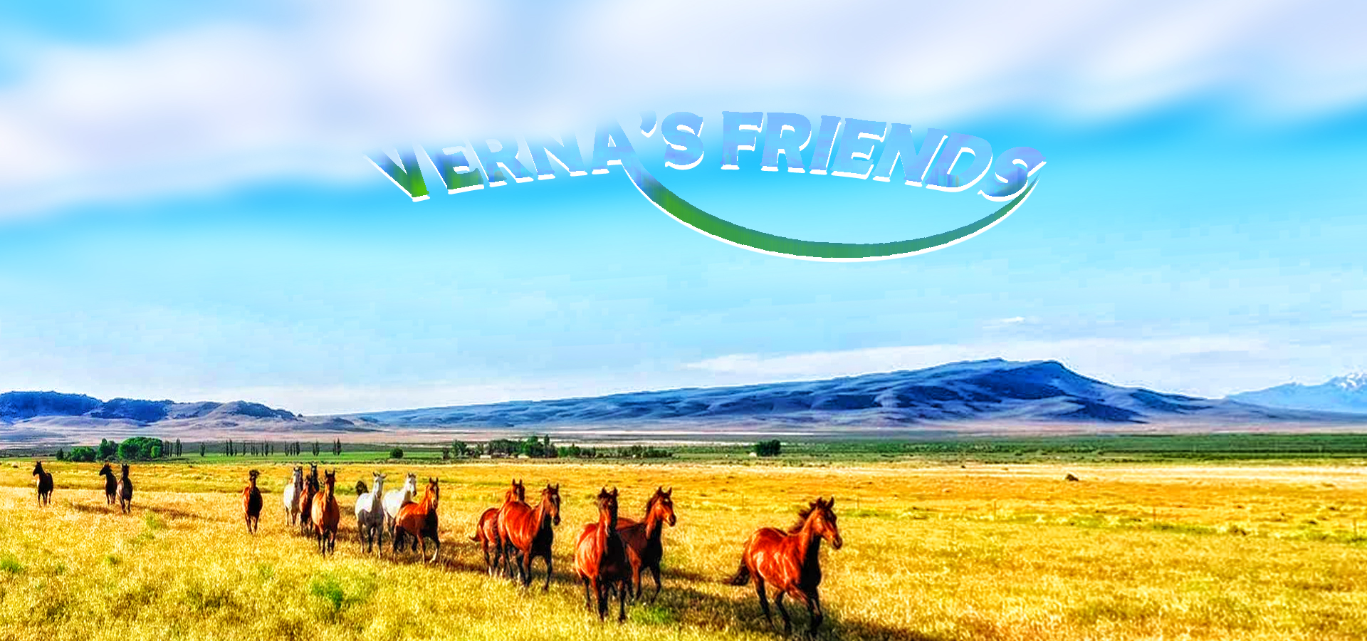 -00-fond-verna-s-friends-030