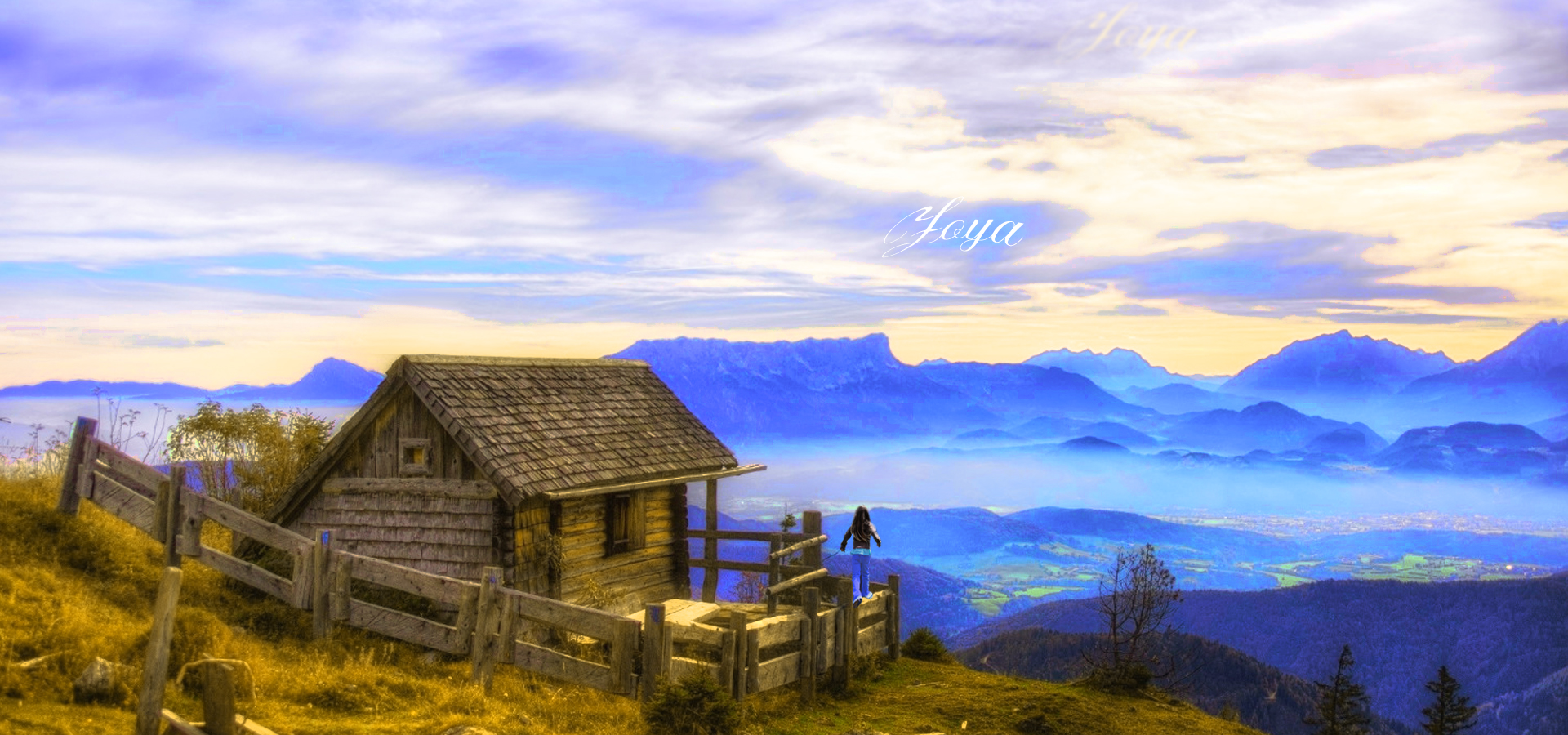 -00-fond-zoya-2024-001