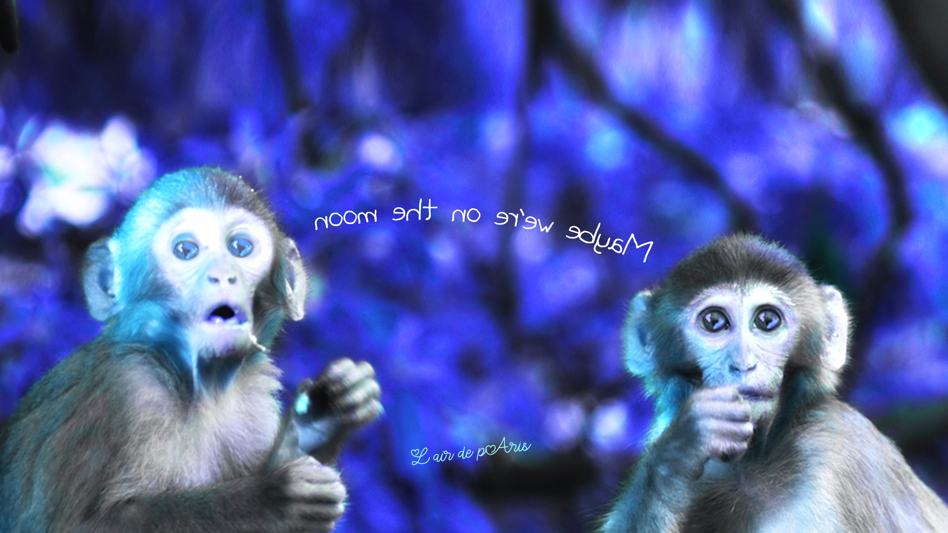 -00-fond-maybe-we-re-on-the-moon-200-dec-2019